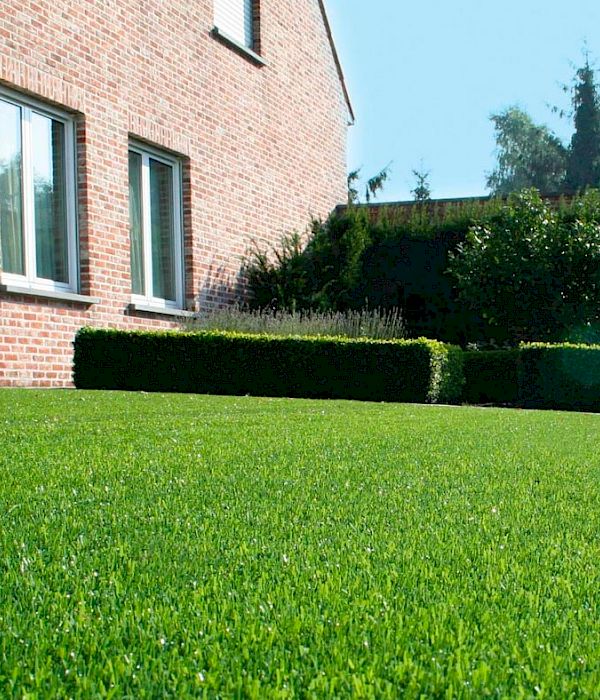 detail of artificial turf