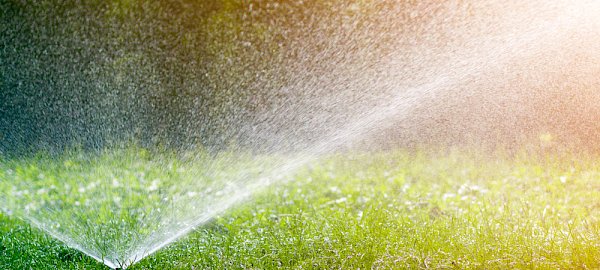 Risparmiare sui consumi di acqua grazie al prato sintetico