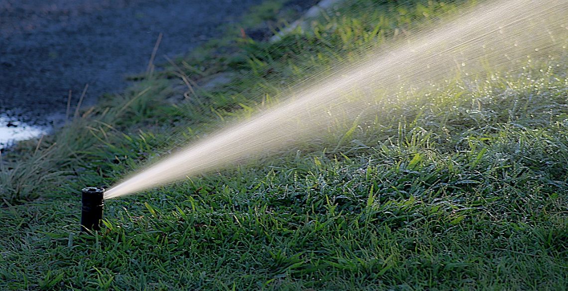 spruzzino che annaffia un giardino