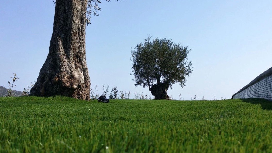 esempio di prato con erba finta