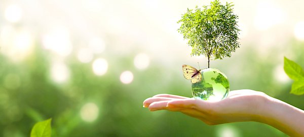 Erba artificiale ecologica: EcoSense e il progetto di ReMatch