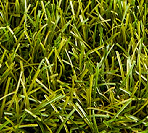 Gallery Prato sintetico RG Sense - Prato Sintetico RG Sense Dettagli