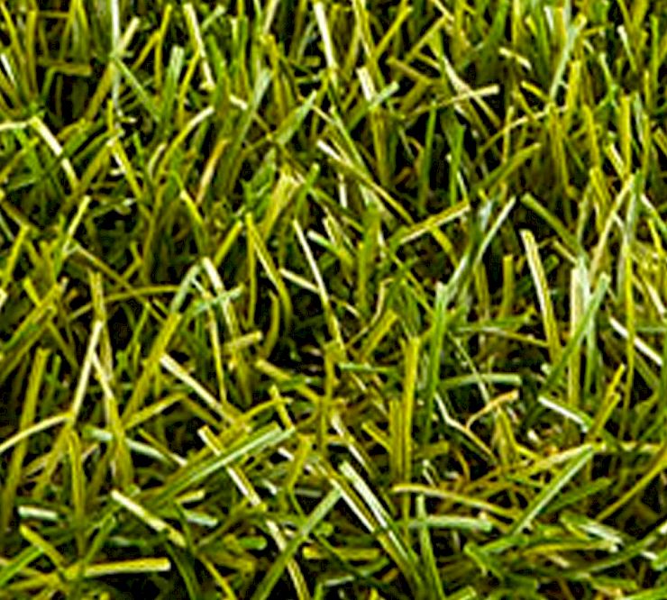 Gallery Prato sintetico RG Sense - Prato Sintetico RG Sense Dettagli