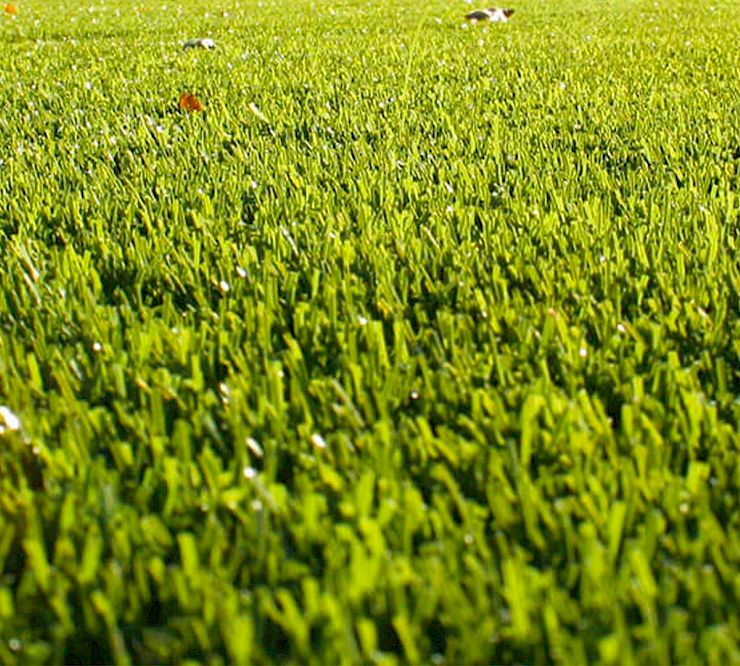Gallery Prato sintetico RG Bloom - Prato Sintetico RG Bloom