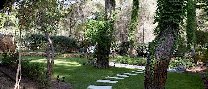 img_0871.700x300.jpg