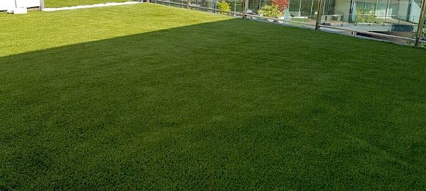 Terrazza 01
