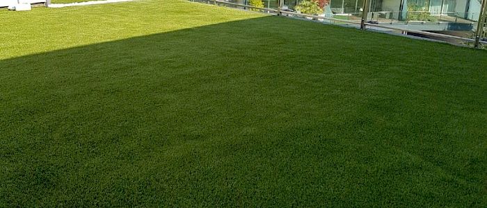 img_0138.700x300.jpg