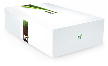 i-Garden Box campionatura gratuita di erba sintetica